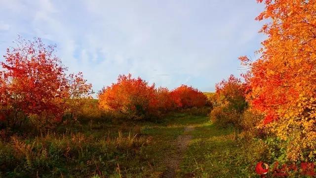 微信图片_20170925162421