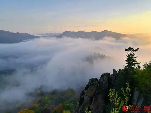 微信图片_20171009101347