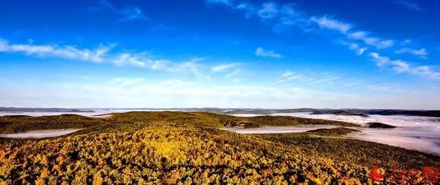 微信图片_20170925162648