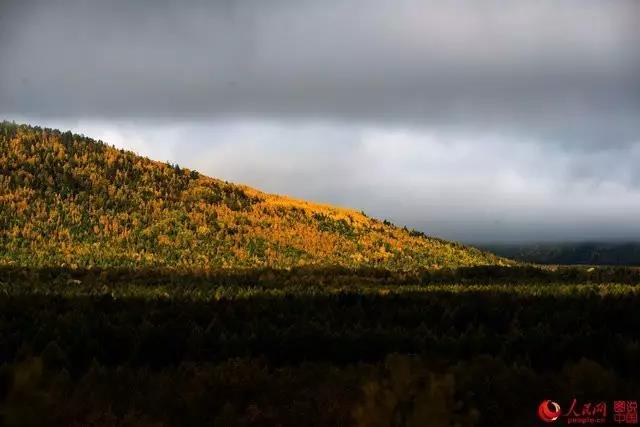 微信图片_20170919163950