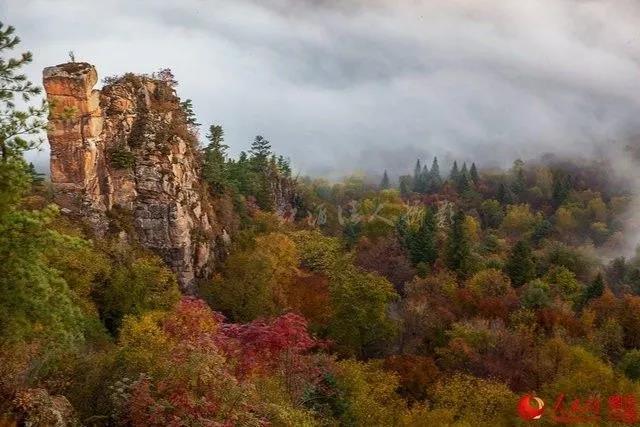 微信图片_20171009101354