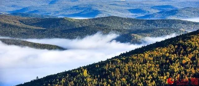 微信图片_20170925162655