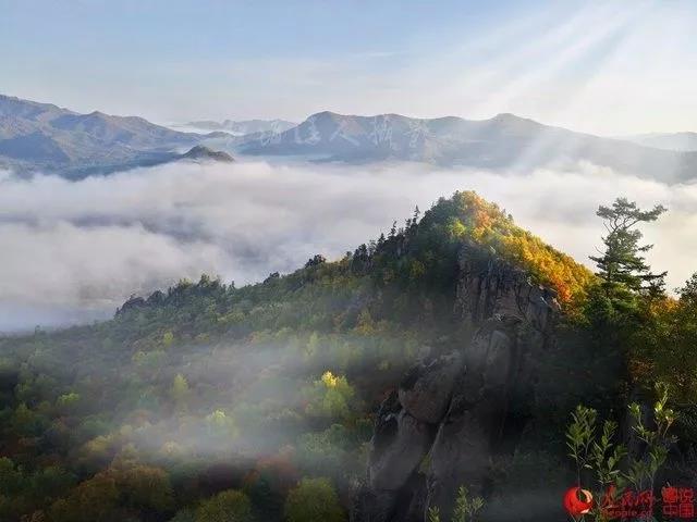 微信图片_20171009101351