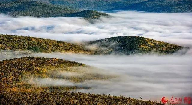 微信图片_20170925162653