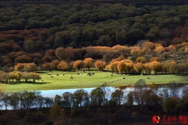 微信图片_20171009100650