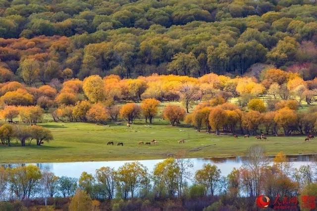 微信图片_20171009100641