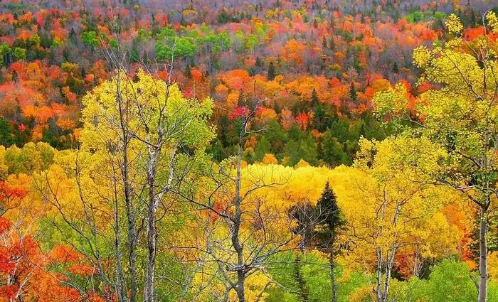 微信图片_20170630155313