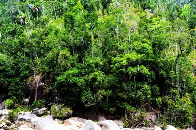 微信图片_20170630155316