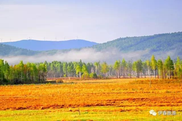 微信图片_20170731152636