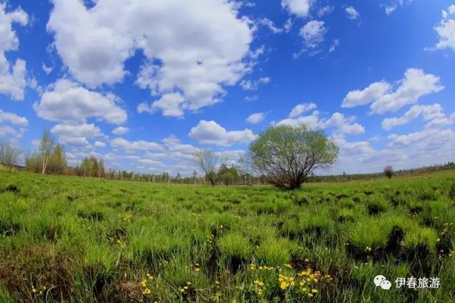 微信图片_20170731152631