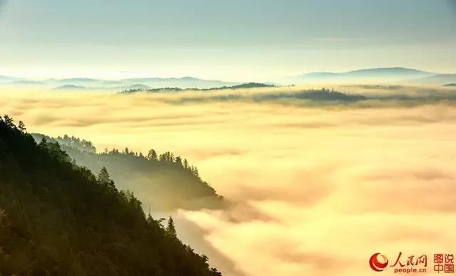 微信图片_20170726164054