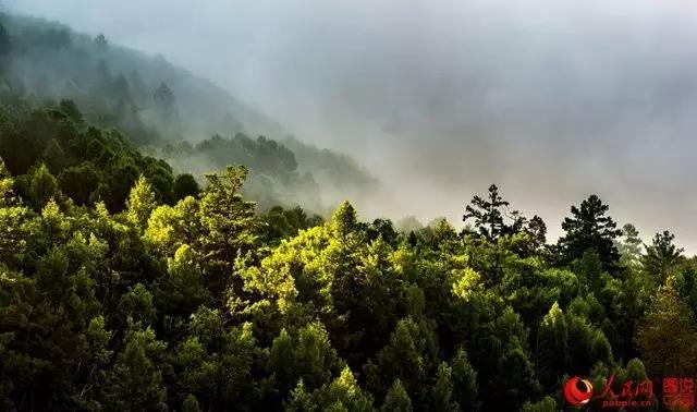 微信图片_20170726164047