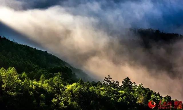 微信图片_20170726164049